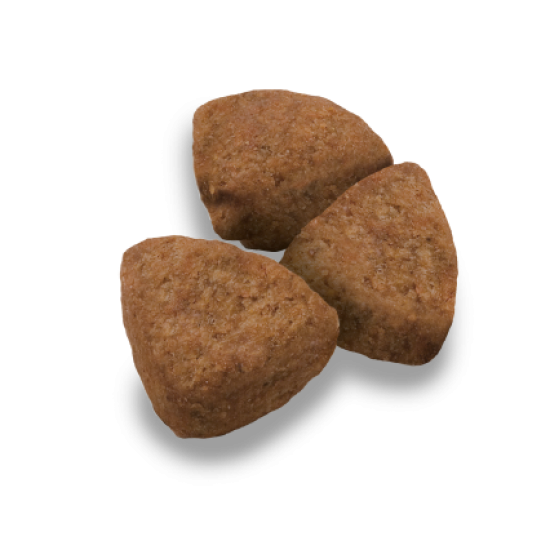 Advance Maxi Adult sausas pašaras didelių veislių šunims