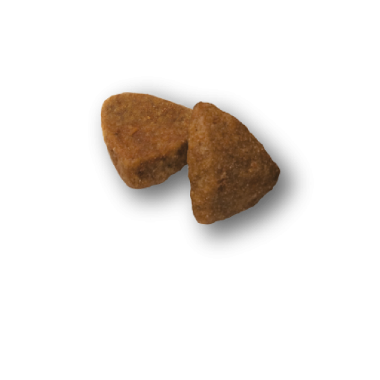 Advance Mini Adult sausas pašaras šunims su vištiena