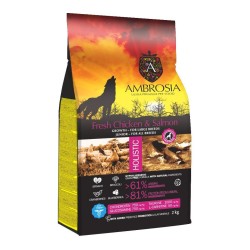 Ambrosia GF Junior Large Breed Fresh Chicken & Salmon begrūdis sausas maistas jauniems, didelių veislių šunims