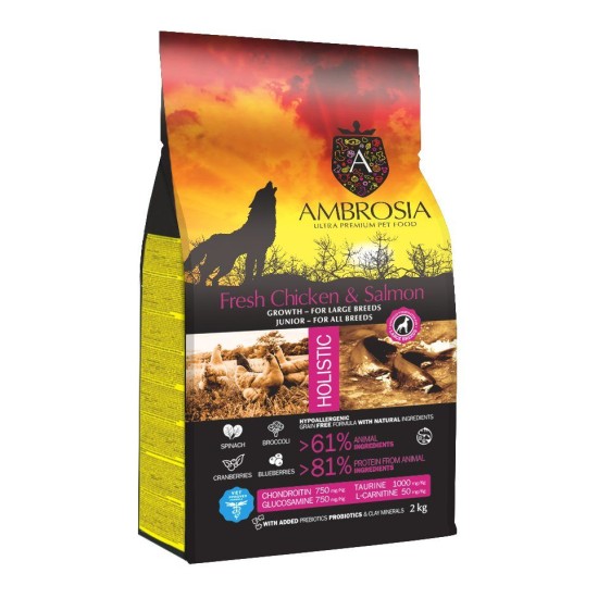 Ambrosia GF Junior Large Breed Fresh Chicken & Salmon begrūdis sausas maistas jauniems, didelių veislių šunims Ambrosia GF Junior Large Breed Fresh Chicken & Salmon begrūdis sausas maistas jauniems, didelių veislių šunims