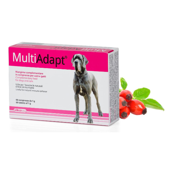 DOGOTEKA MultiAdapt 60 tabl.