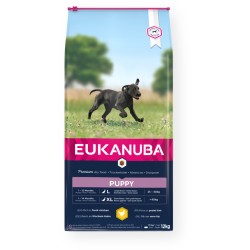 Eukanuba Large Puppy visavertis pašaras didelių veislių jauniems šuniukams su vištiena