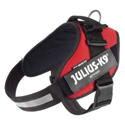 Trixie Julius-K9 petnešos šunims, 2/L-XL dydis: 71-96 cm x 50 mm, raudonos spalvos Trixie Julius-K9 petnešos šunims, 2/L-XL dydis: 71-96 cm x 50 mm, raudonos spalvos
