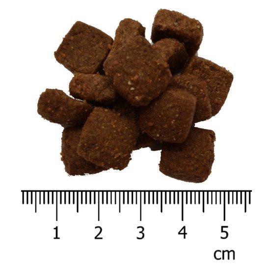 IRONpet BEEF Puppy All Breed vieno baltymo pašaras šunims iki 1 metų IRONpet BEEF Puppy All Breed vieno baltymo pašaras šunims iki 1 metų