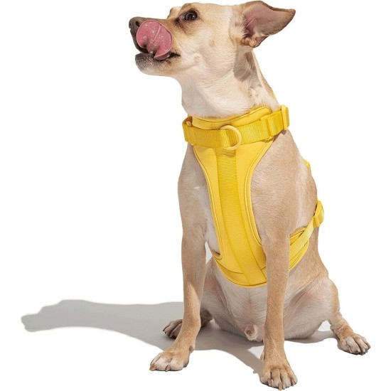 Maxn Petnešos šunims, geltonos spalvos