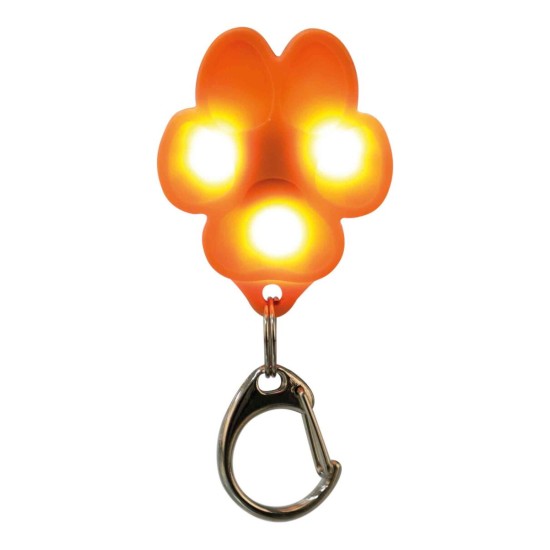 Trixie šviečiantis pakabukas pėdutė