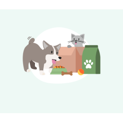 Taupymo planas 1 metai