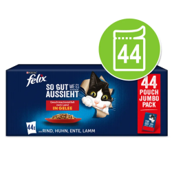 Felix Fantastic Mix of Flavors Jelly 85g X 44 (vištiena, jautiena, antiena, ėriena)