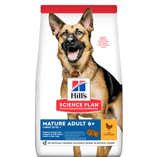 Hill's Science Plan Large Breed Mature Adult 6+ sausas pašaras šunims