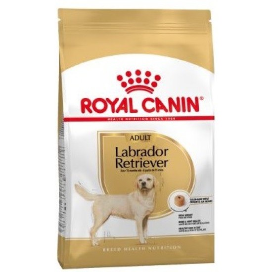 ROYAL CANIN Labrador Retriever Adult