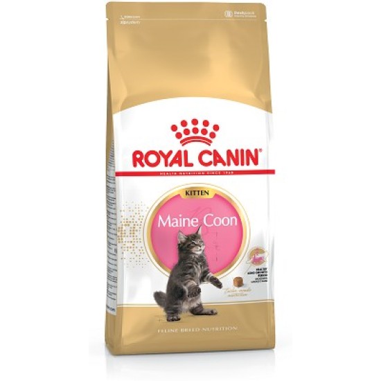 ROYAL CANIN Kitten Maine Coon sausas pašaras kačiukams iki 1 metų 