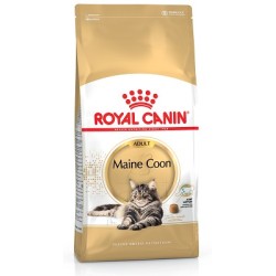 ROYAL CANIN Maine Coon 31 sausas pašaras katėms ROYAL CANIN Maine Coon 31 sausas pašaras katėms