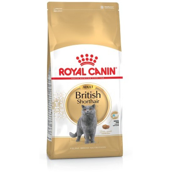 ROYAL CANIN British Shorthair sausas pašaras katėms