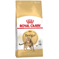 Royal Canin Bengal Royal Canin Bengal