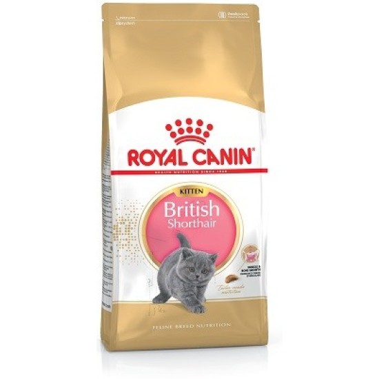Royal Canin Kitten British Shorthair