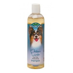 Bio Groom Protein Lanolin šampūnas šunims ir katėms