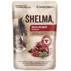 SHELMA jautienos gabaliukai padaže