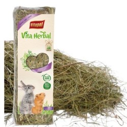 Vitapol Šienas graužikams