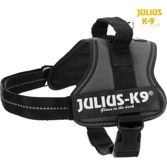 Trixie Julius-K9 petnešos šunims, 2/L-XL dydis: 71-96 cm x 50 mm, antracito spalvos