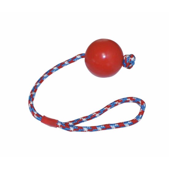 Kamuolys pilnas ant stygos