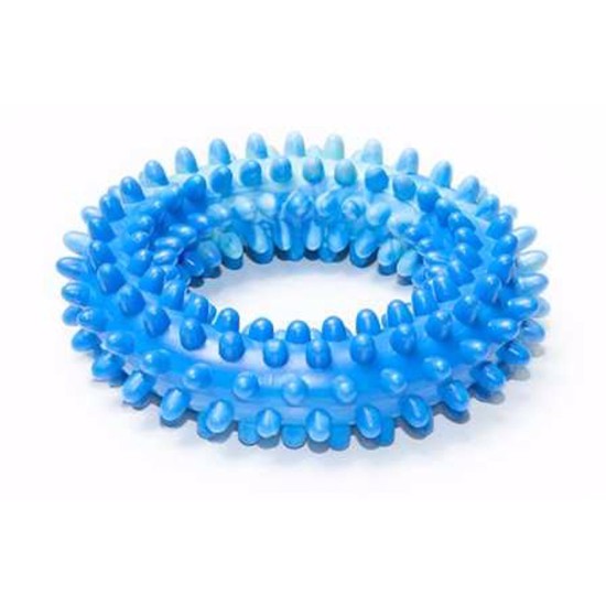 Apskritimas TG su spygliukais kvepiantis 12 cm