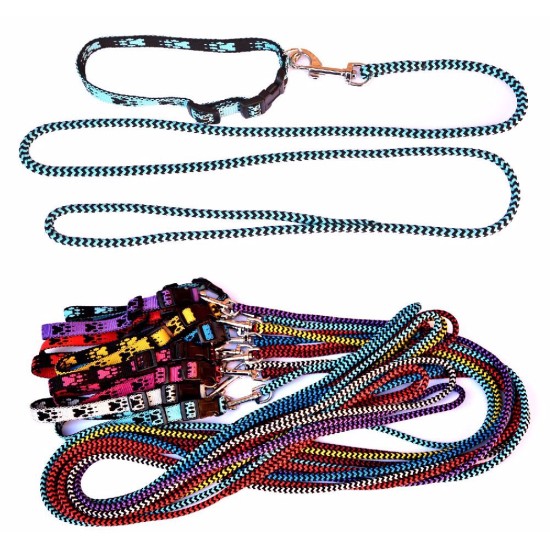 Pavadėlis ir apykaklė