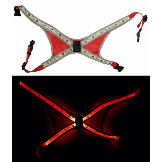 Šviečiantis LED petnešos S raudona