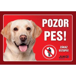 Ženklas plastikas LABRADOR geltonas