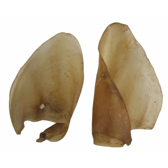 Jautiena ausis be galo (2 vnt.)