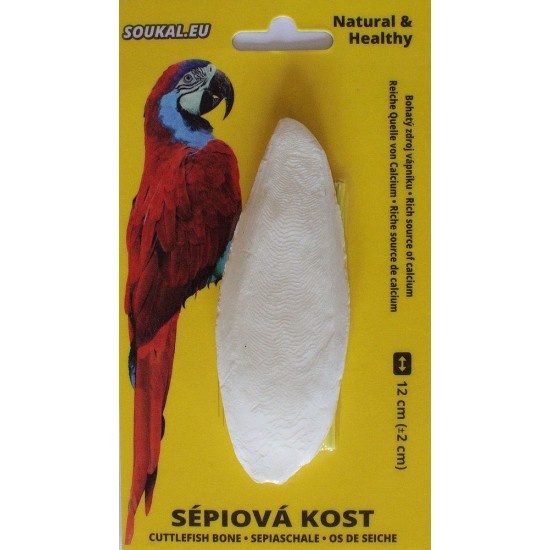 Sepija, 12 cm Sepija, 12 cm