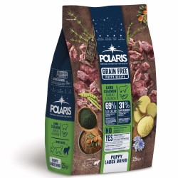 Sausas šunų maistas Polaris Dog Puppy Large Lamb & Salmon GF su ėriena ir lašiša, 2.5 kg Sausas šunų maistas Polaris Dog Puppy Large Lamb & Salmon GF su ėriena ir lašiša, 2.5 kg