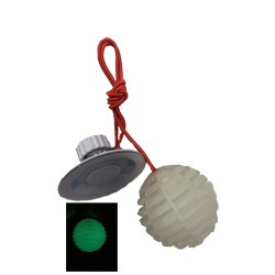 Daugiafunkcinis kamuolys šunims