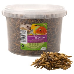 Džiovintos lervos, 3 l (430 g) Džiovintos lervos, 3 l (430 g)