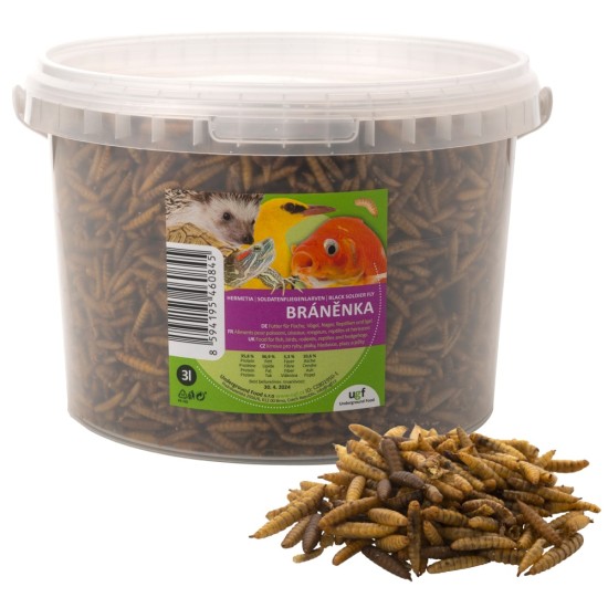 Džiovintos lervos, 3 l (430 g) Džiovintos lervos, 3 l (430 g)