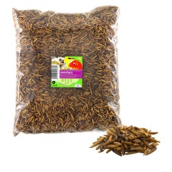Džiovintos lervos 1kg Džiovintos lervos 1kg