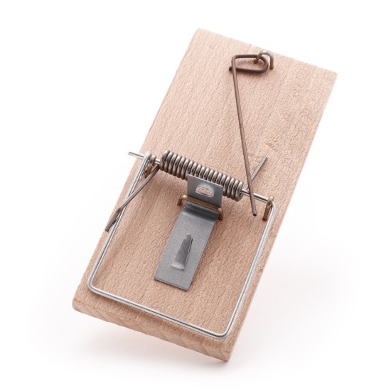 Pelė spąstai bukas