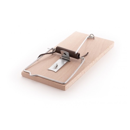 Žiurkė spąstai bukas