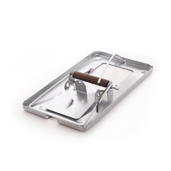 Žiurkė spąstai cinkas