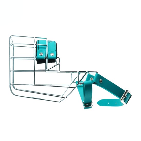 Antsnukis cinkas/Biotanas dalmatinas haskis skalykas labradoras - kalytė