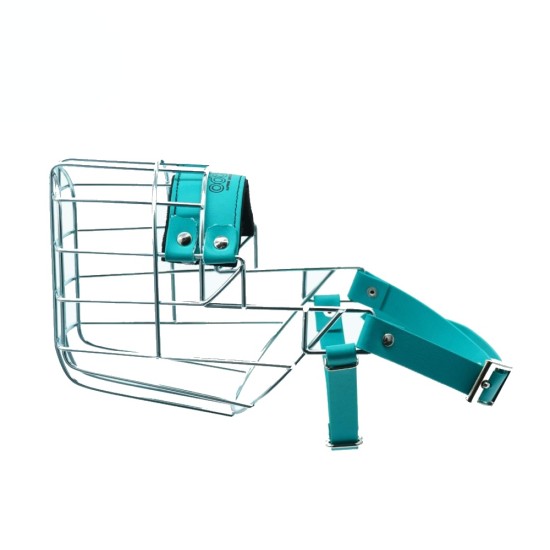 Antsnukis cinkas/Biotanas dalmatinas haskis skalikas labradoras - šuo