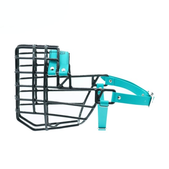 Antsnukis juodas/Biotanas vokiečių aviganis malamutas sargis - kalė ir šuo