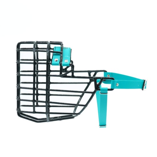 Antsnukis juodas/Biotanas vokiečių aviganis malamutas sargis - šuo