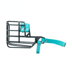 Antsnukis juodas/Biotanas kolis, belgų aviganis - kalė