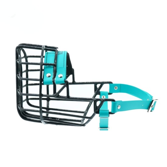 Antsnukis juodas/Biotano pitbulterjeras stafordas čiau čiau - šuo