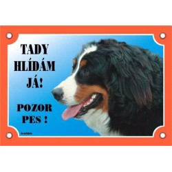 Sign Dafiko BERN SALAŠNICK