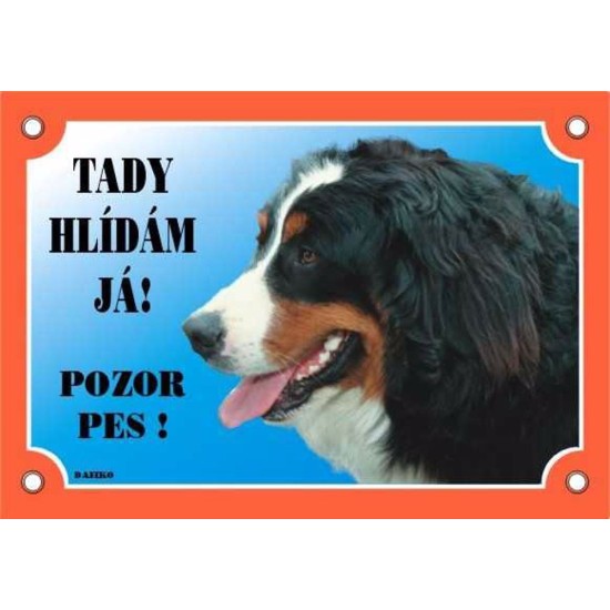 Sign Dafiko BERN SALAŠNICK