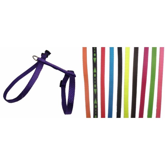 Petnešos dirželis katė