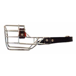 Antsnukis cinkas/metalinis pudelis taksas šuo