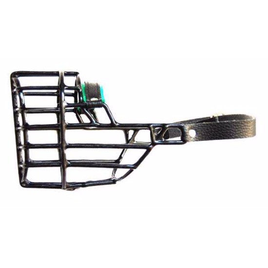 Antsnukis juodas/metalinis gaidys foksterjeras dideliems springerspanielis kalytė