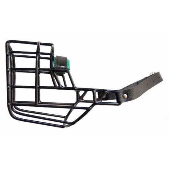 Antsnukis juodas/metalinis dalmatinas haskis skalikas labradoras retriveris kalė